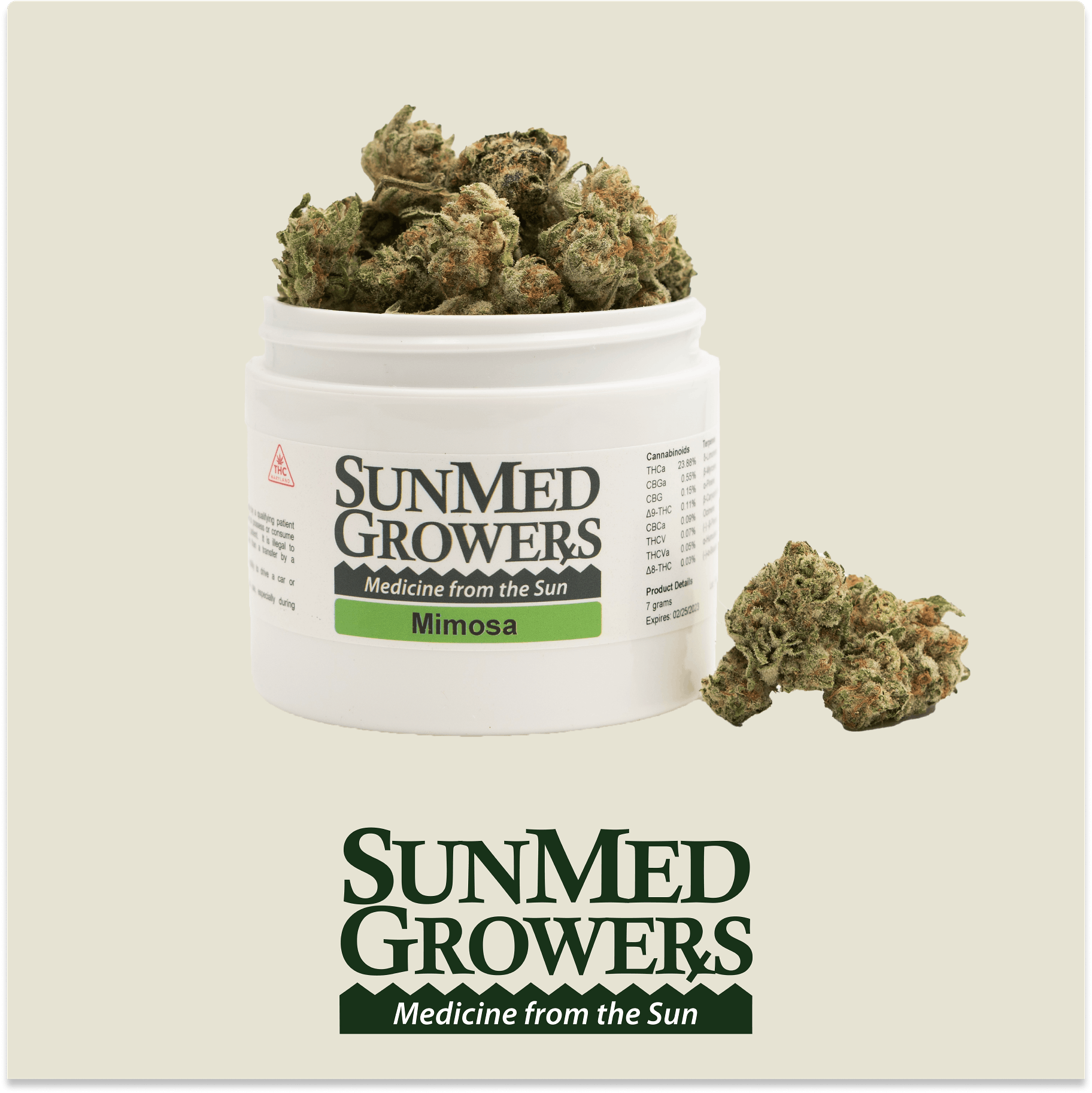 Mimosa Flower (7g) - image 1