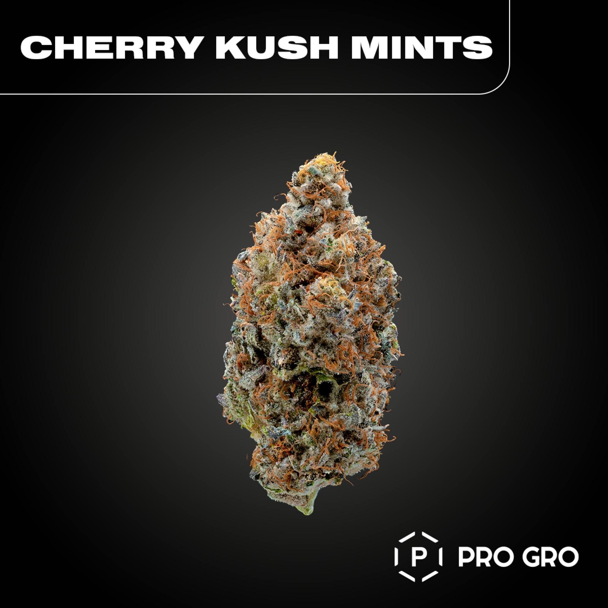 Cherry Kush Mints Pre-Roll | 1g - image 1