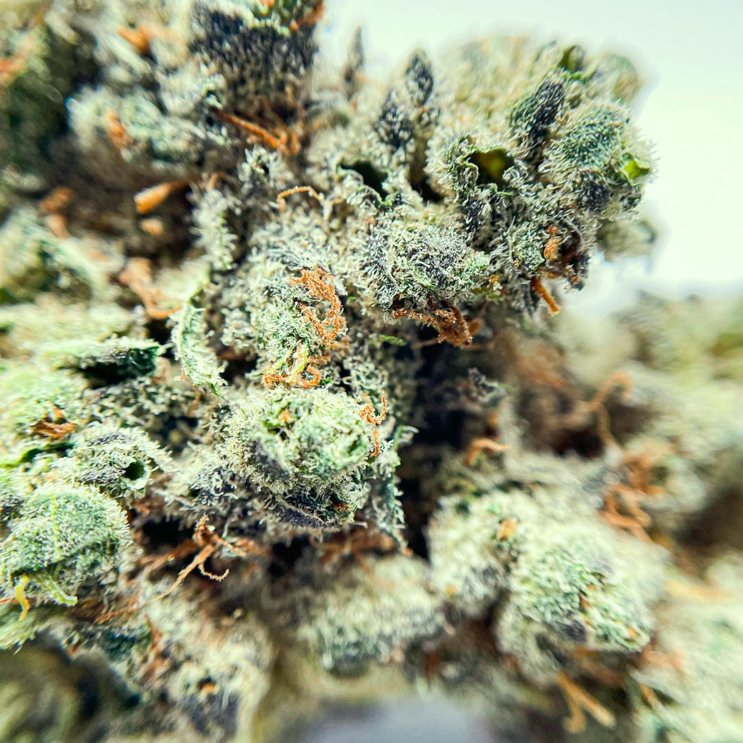 Lemon Grab 3.5g Flower - image 1