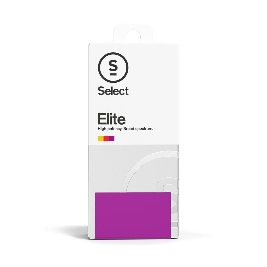 Elite Kosher Kush Cartridge [1g] - image 3