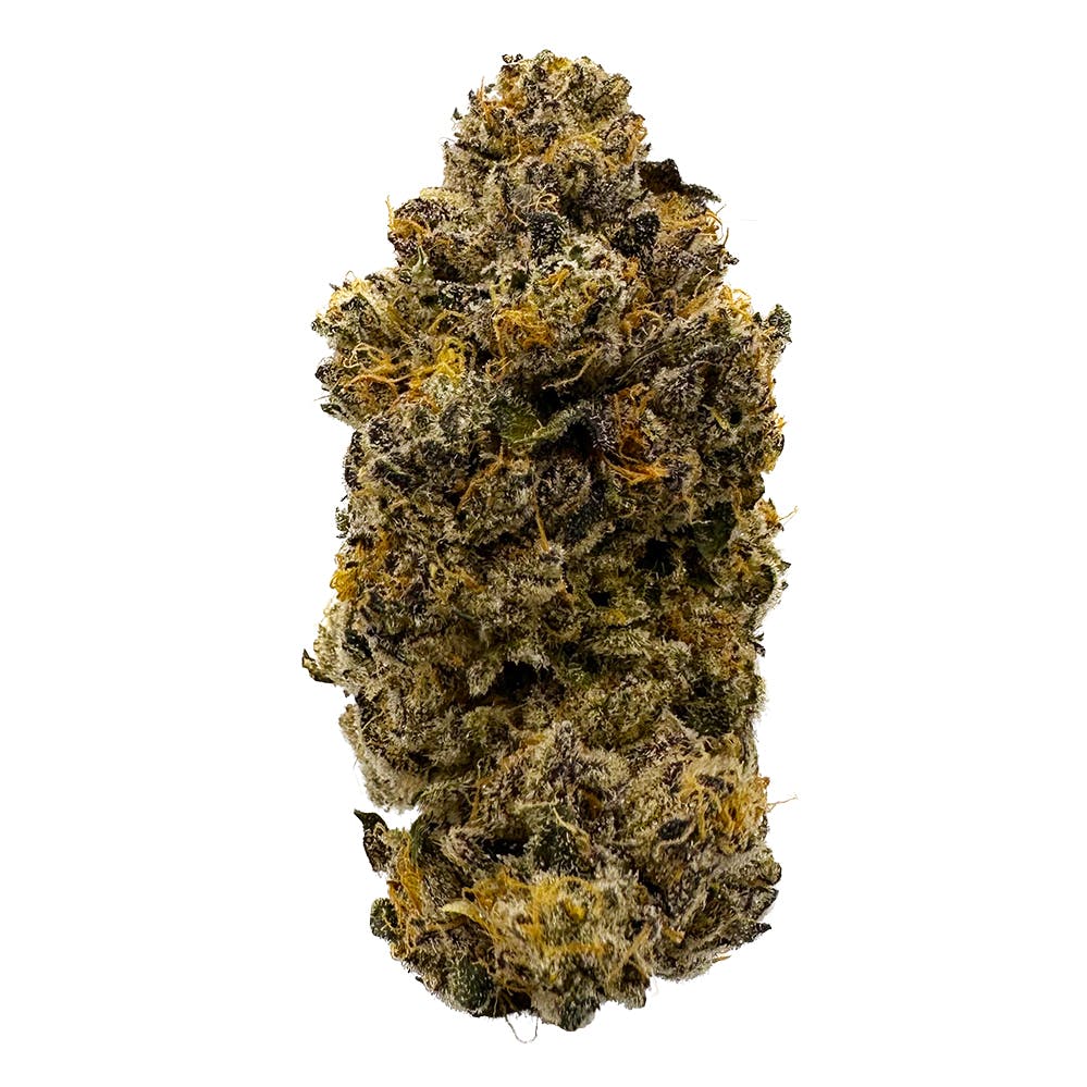 Vivid - Gummiez - Hybrid - image 2