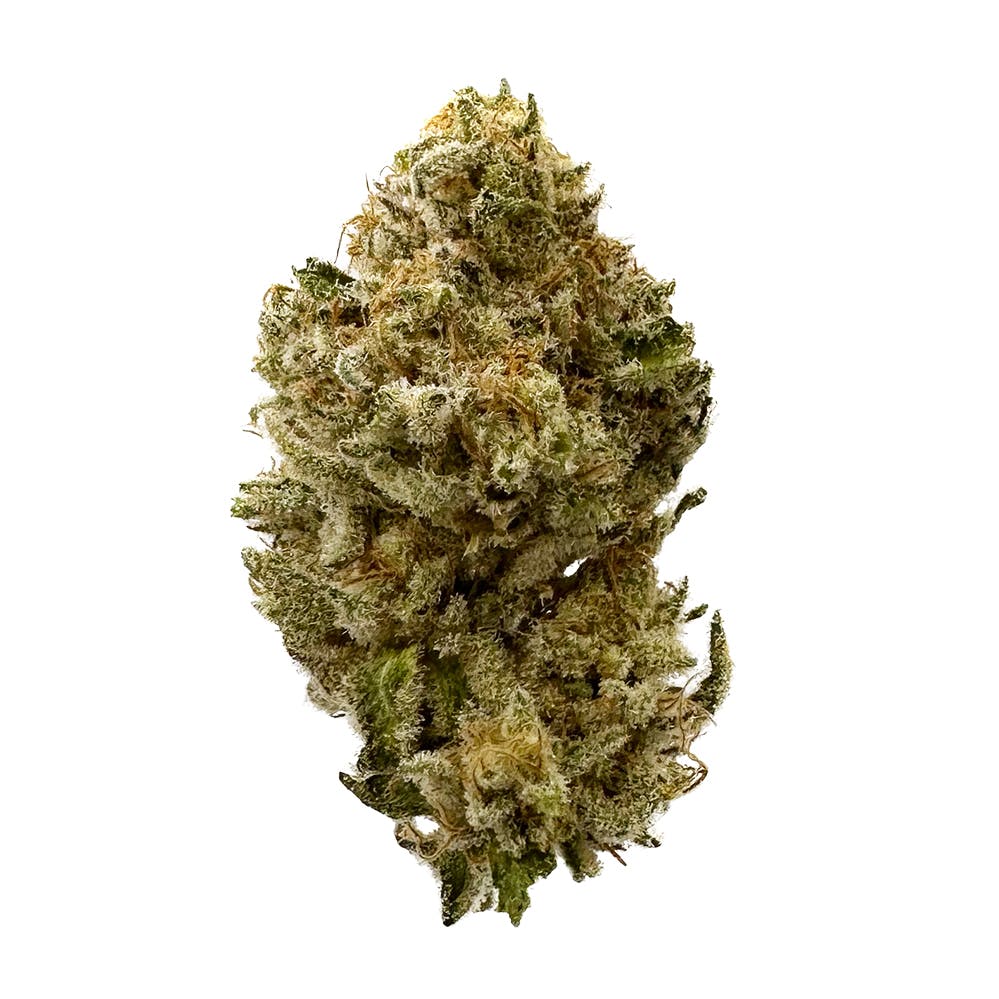 Vivid - Gummiez - Hybrid - image 1