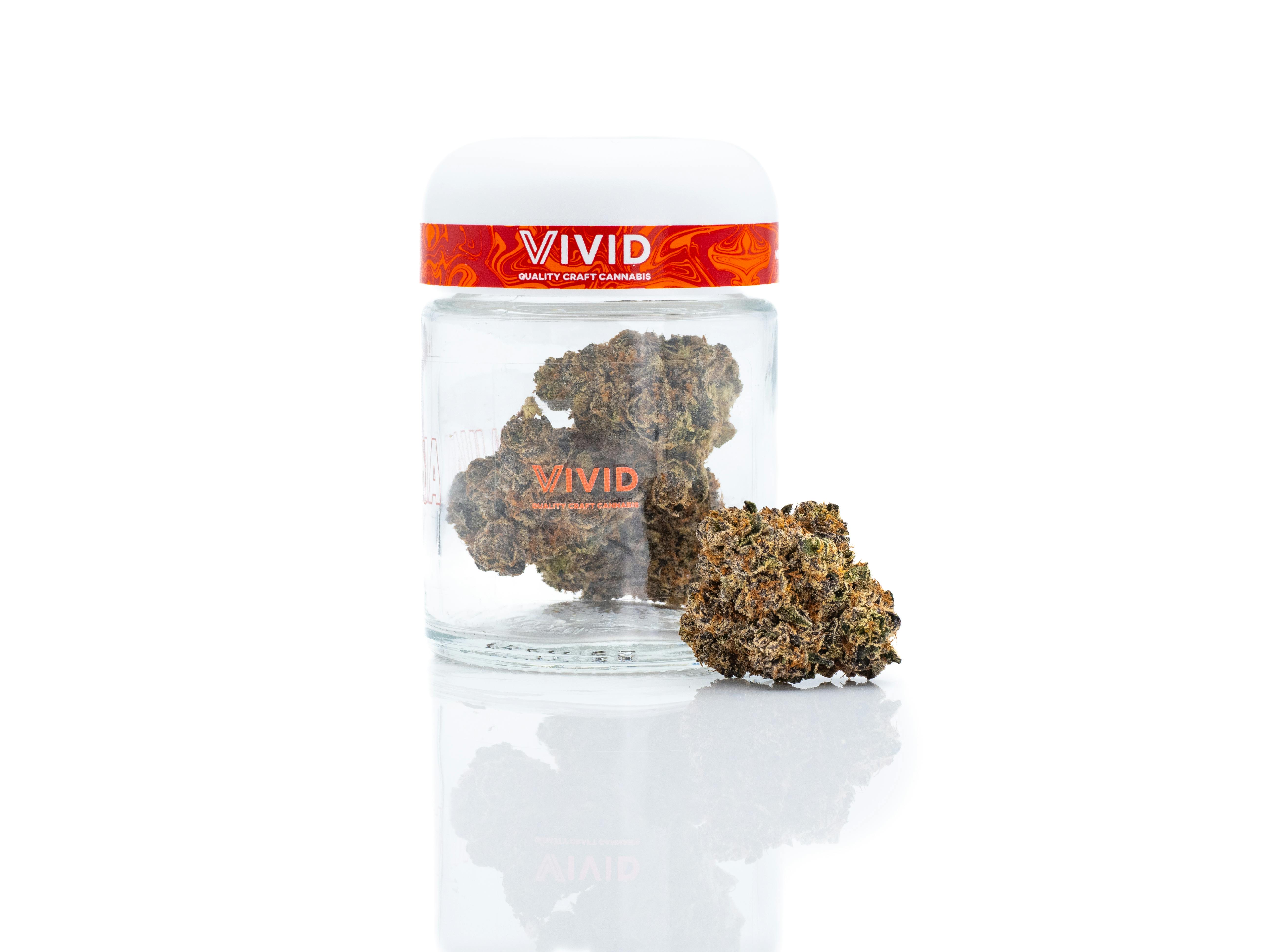 Vivid - Jokerz Candy - Hybrid - image 3
