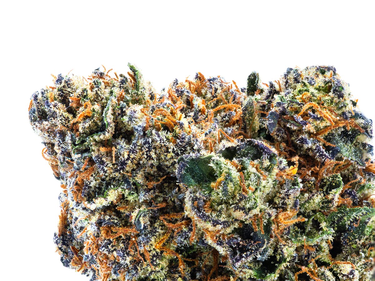 Vivid - Jokerz Candy - Hybrid - image 1
