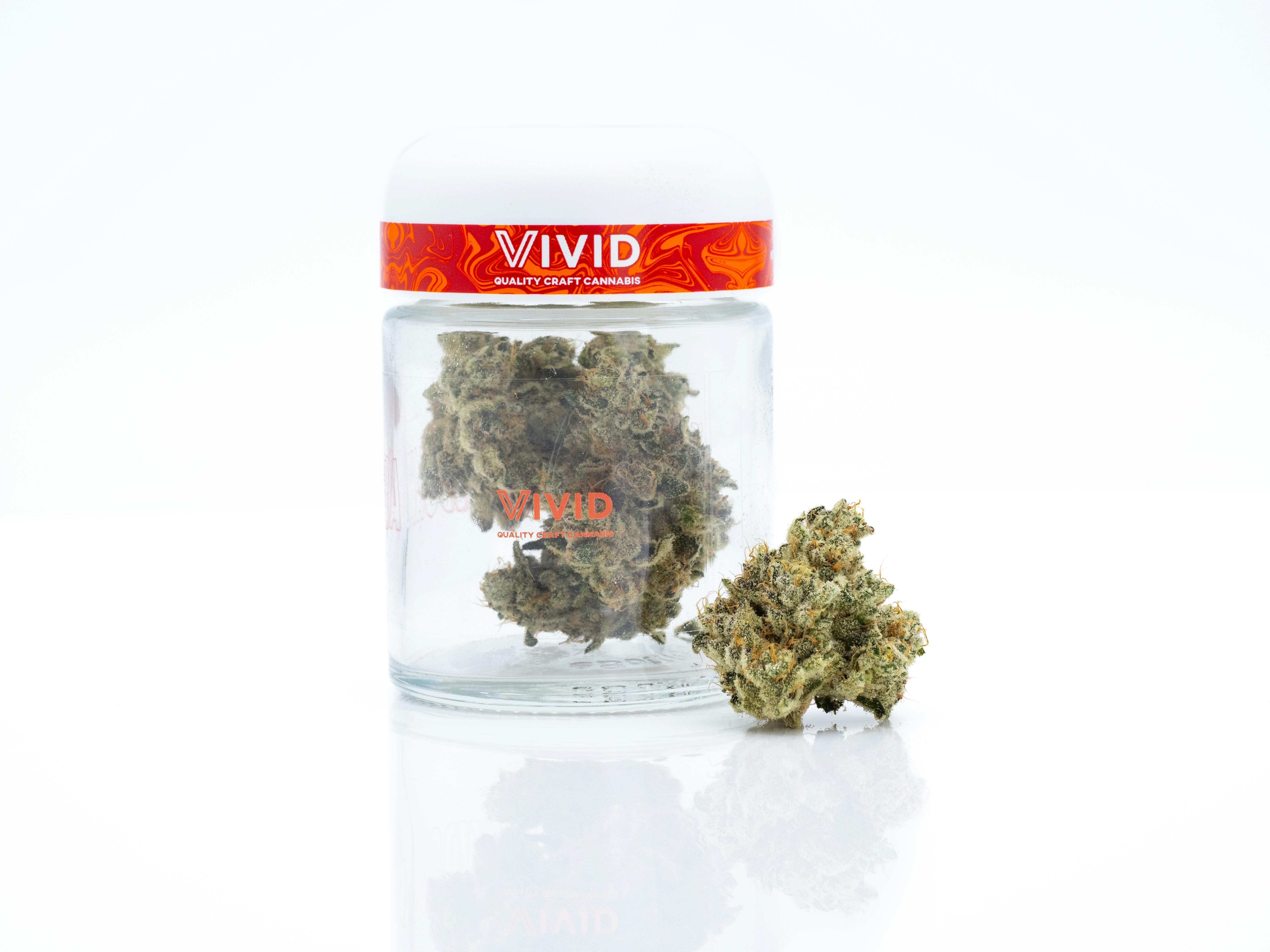 Vivid - Banancaonda - image 3