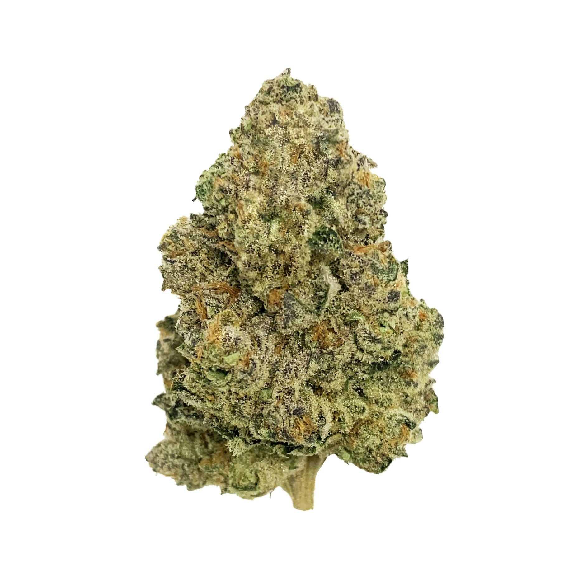 Vivid - LA Baker - Indica Hybrid - image 1