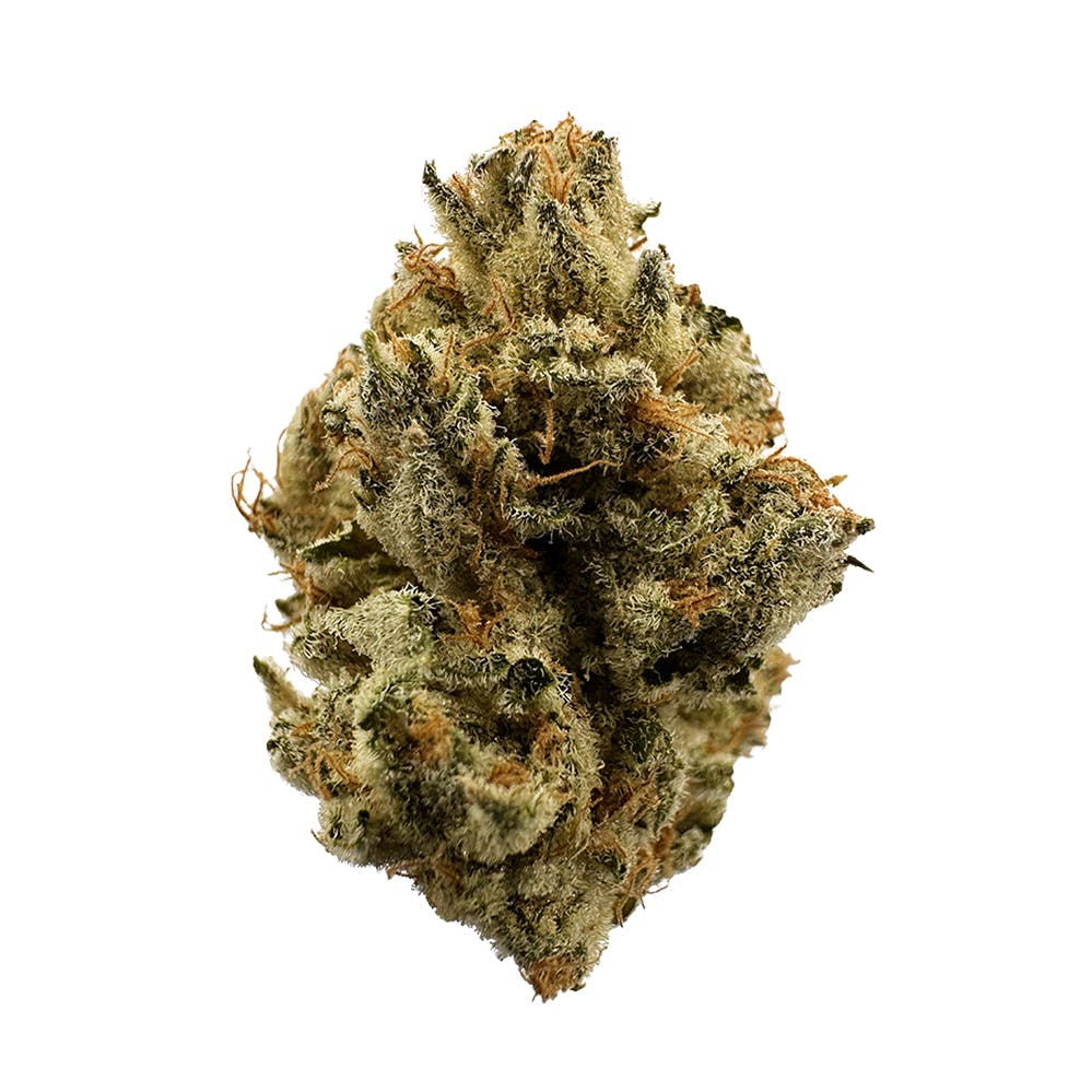 Vivid - Lost Cause - Indica Hybrid - image 1