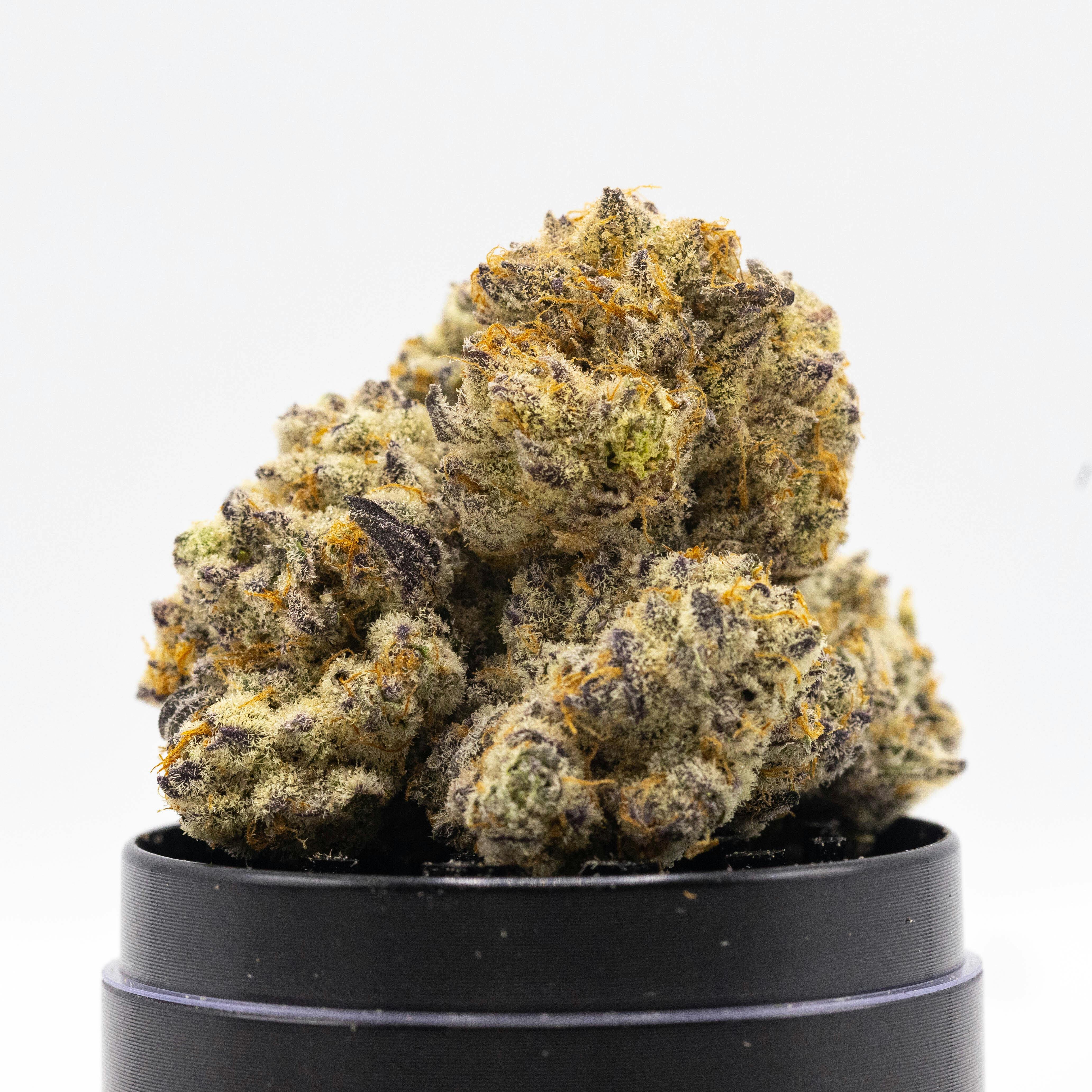 Mandarin Mac- 3.5G Potent Indoor Flower - image 2