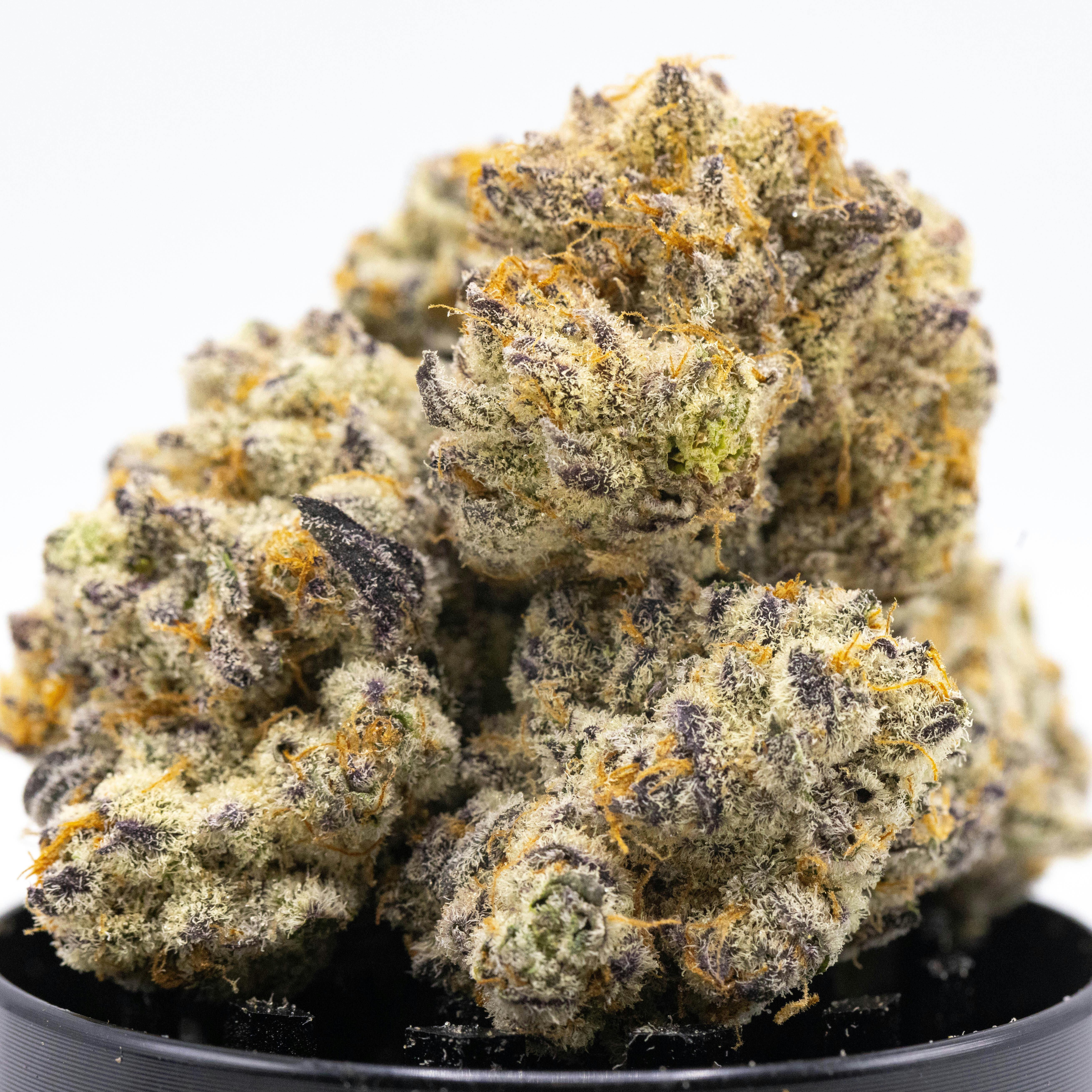 Mandarin Mac- 3.5G Potent Indoor Flower - image 3
