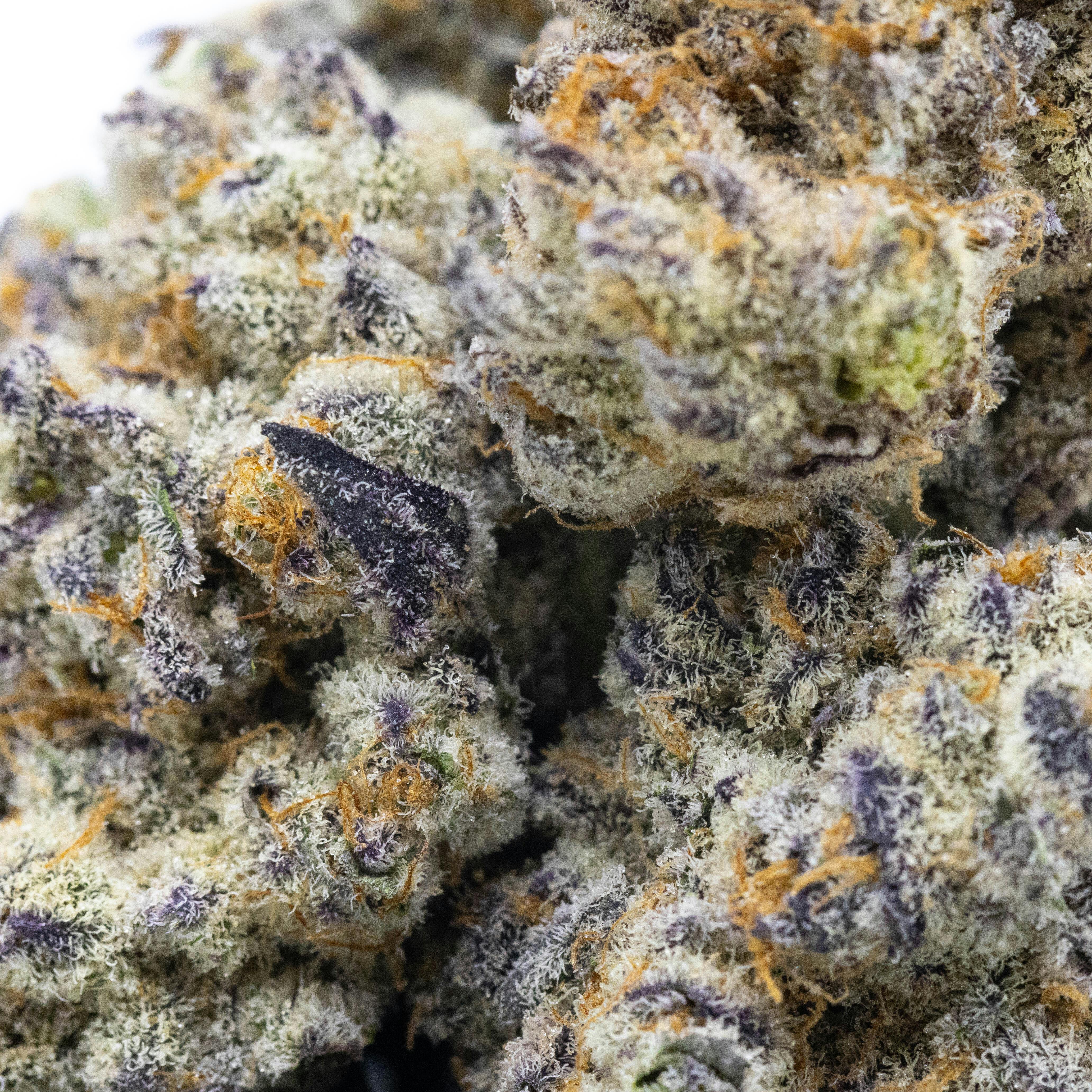 Mandarin Mac- 3.5G Potent Indoor Flower - image 4