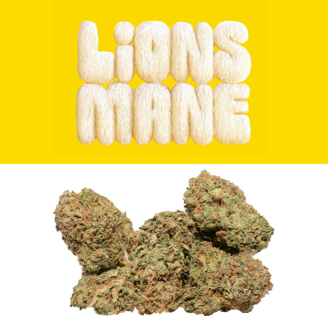 Lions Mane - image 1