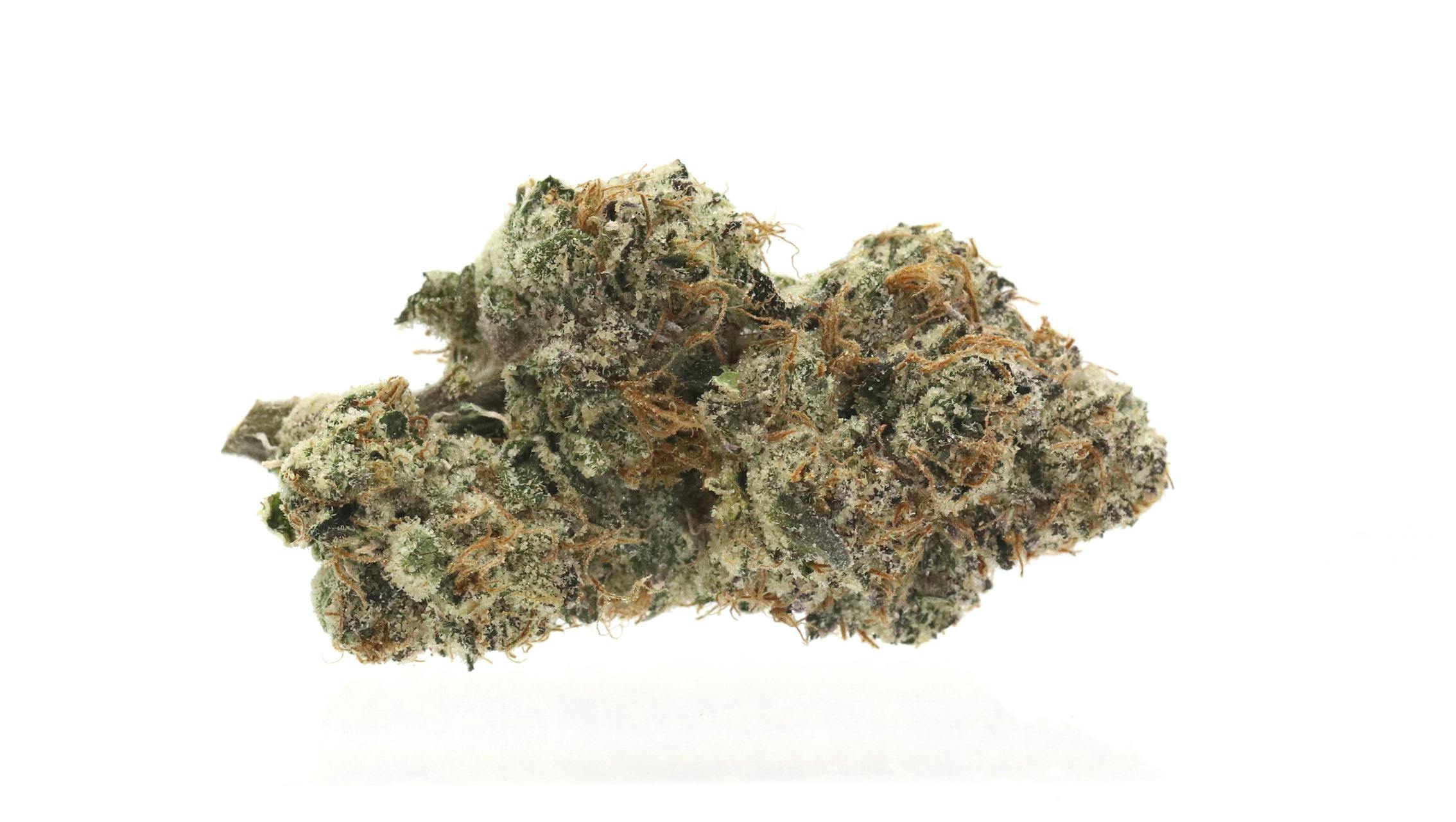 Gelato #33 - Indoor Flower - 14g (Mylar) - image 2