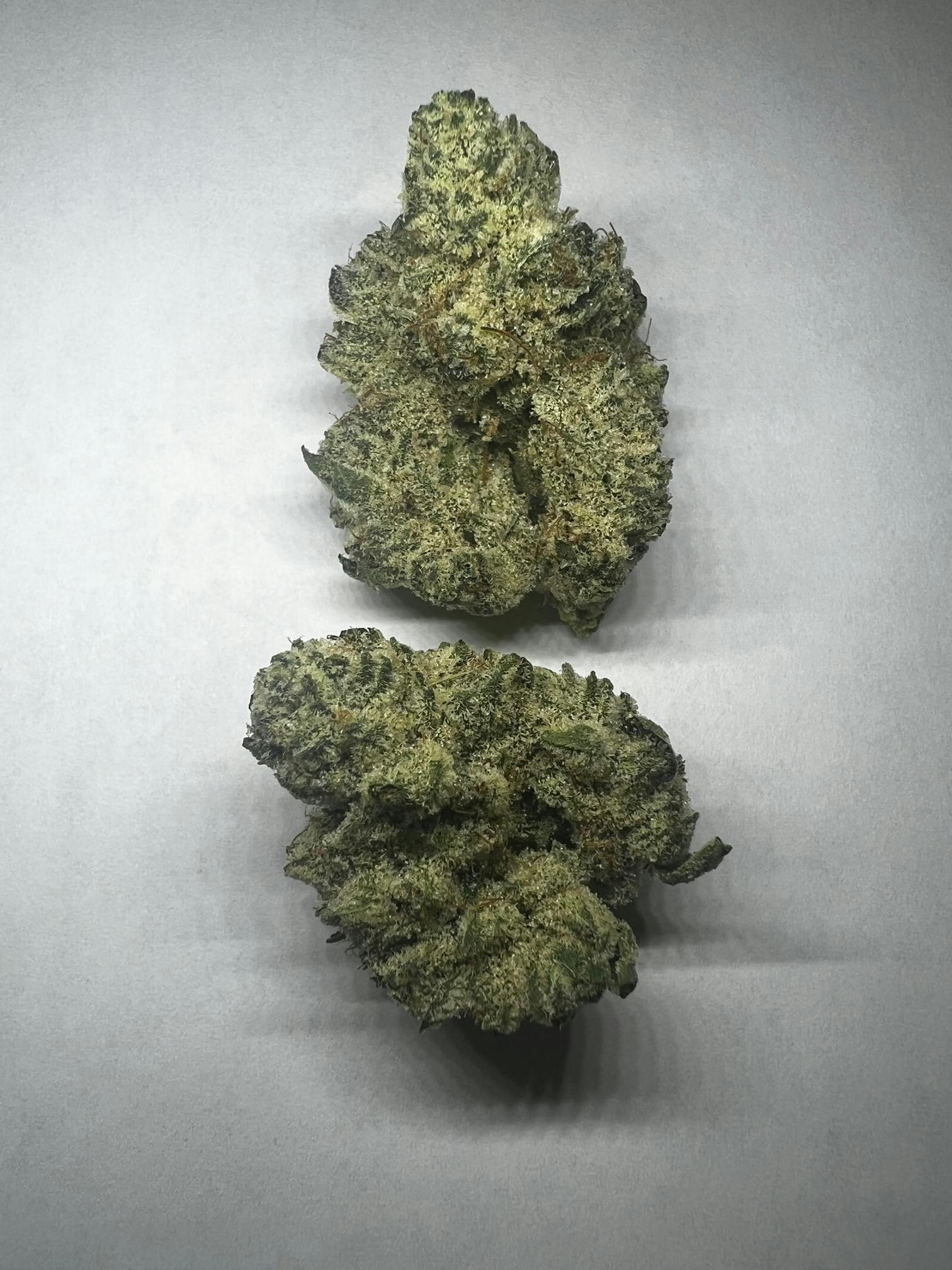 Gorilla Glue - 7g - image 2