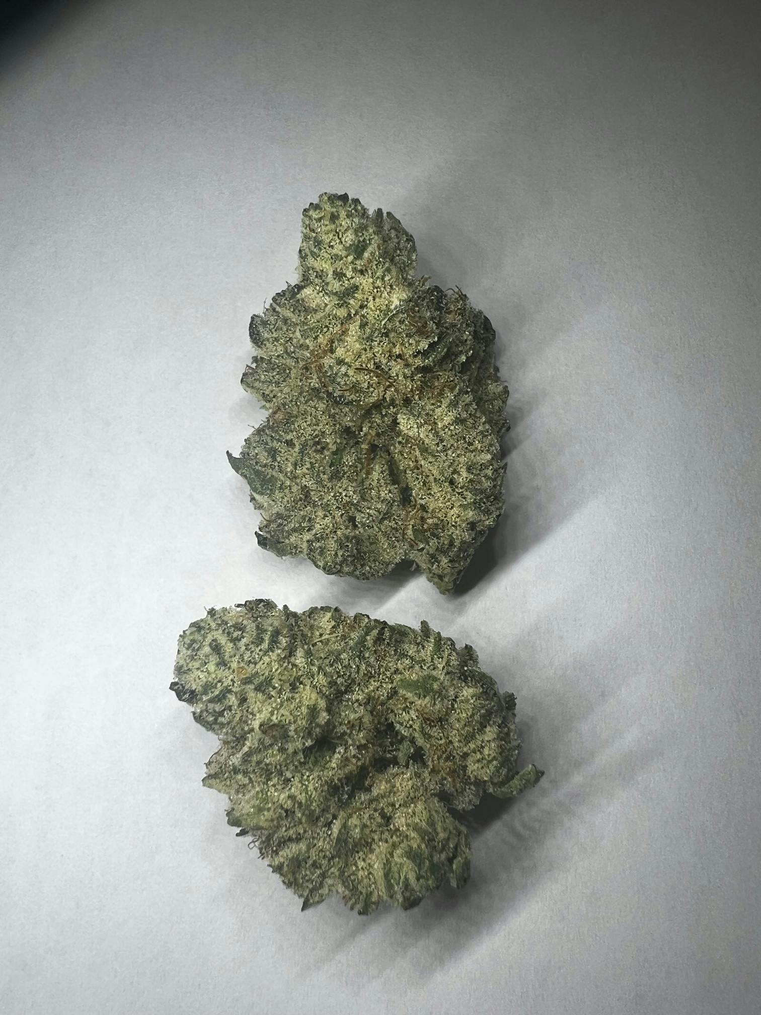 Gorilla Glue - 7g - image 1