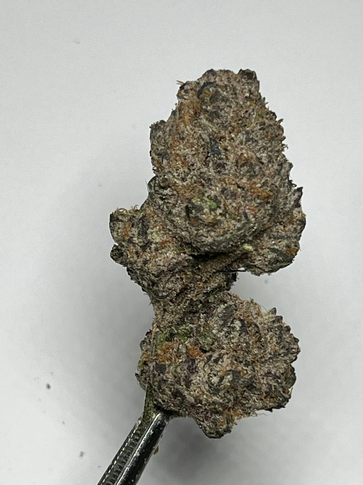 Do-Si-Do - 7g - image 2