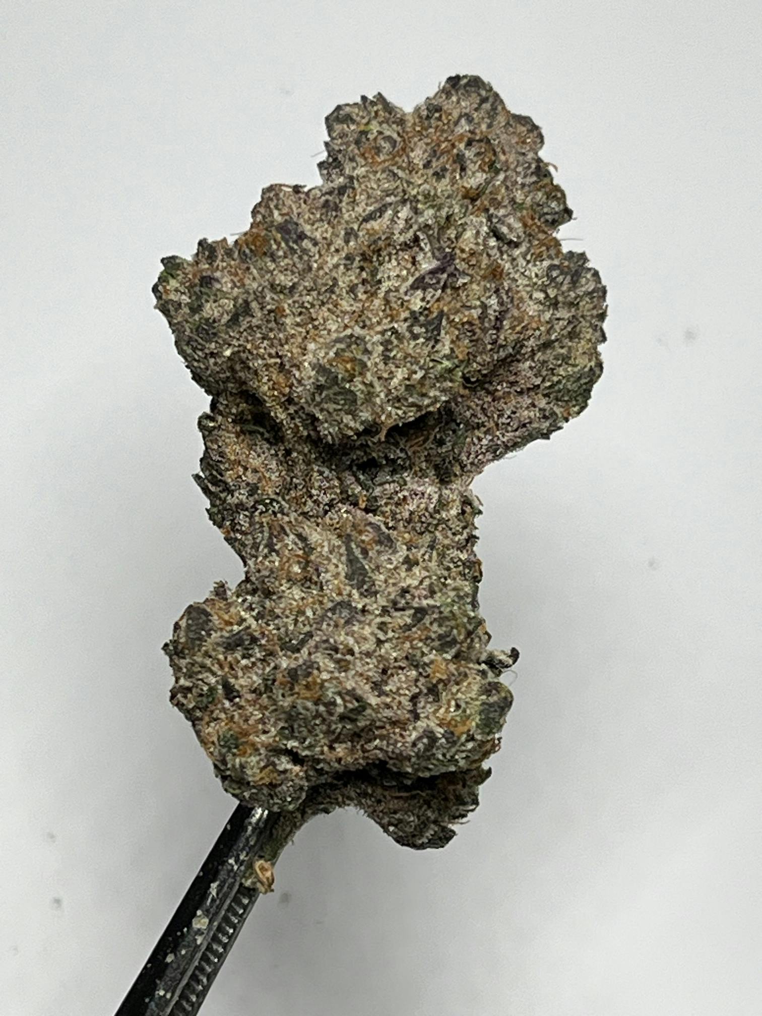 Do-Si-Do - 7g - image 1