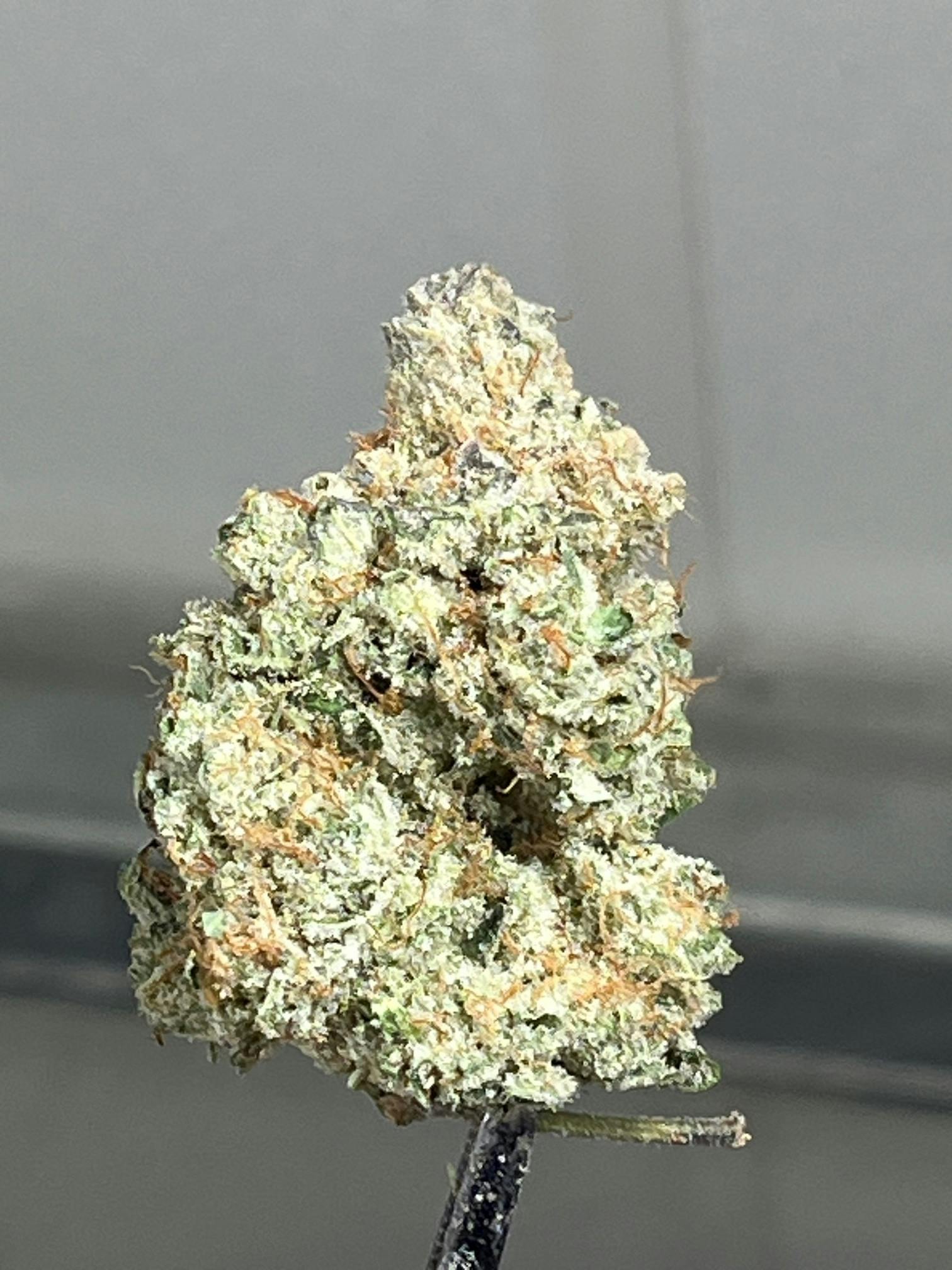 Orange Creamsicle - 3.5g - image 1