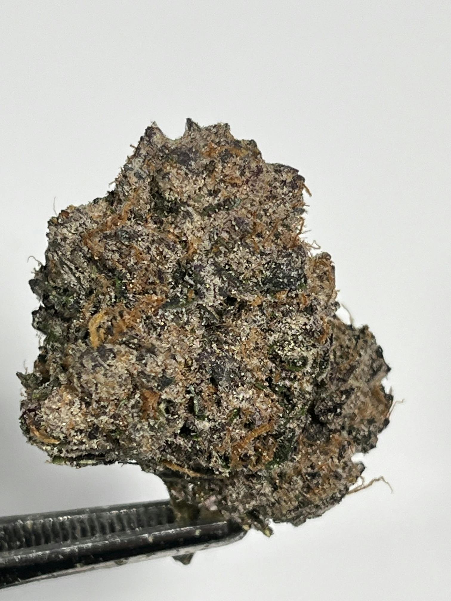 Gelato Cake - 3.5g - image 1