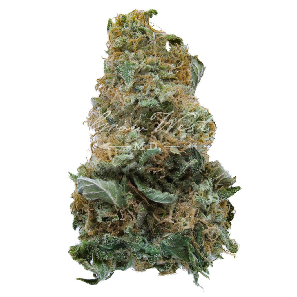 Cambodian Thai x BOEL Skunk | Silver | Untrimmed | 3.5g - image 1