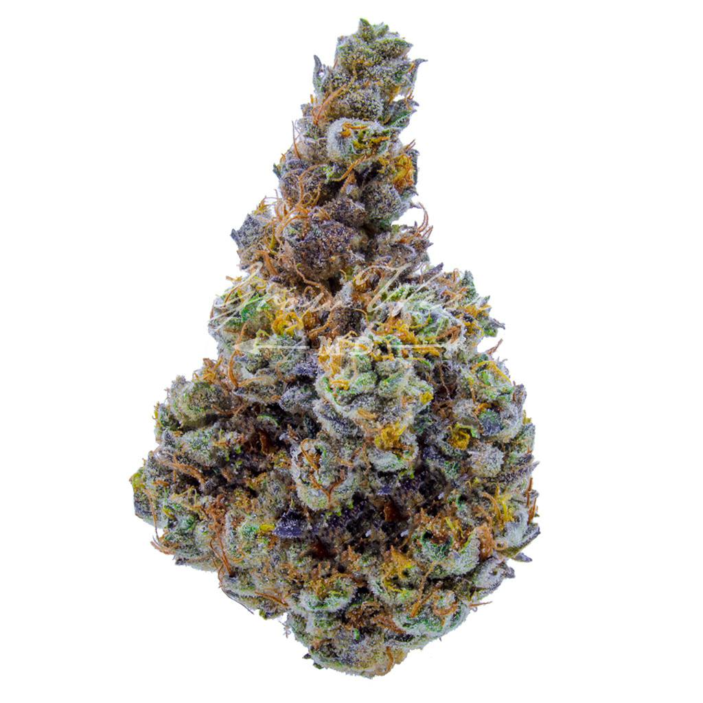 Forum Cookies x Aliendawg Cherry | Gold | Trimmed | 3.5g - image 1