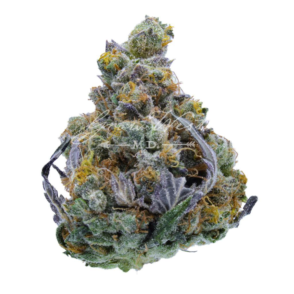 Forum Cookies x Aliendawg Cherry | Silver | Untrimmed | 3.5g - image 1