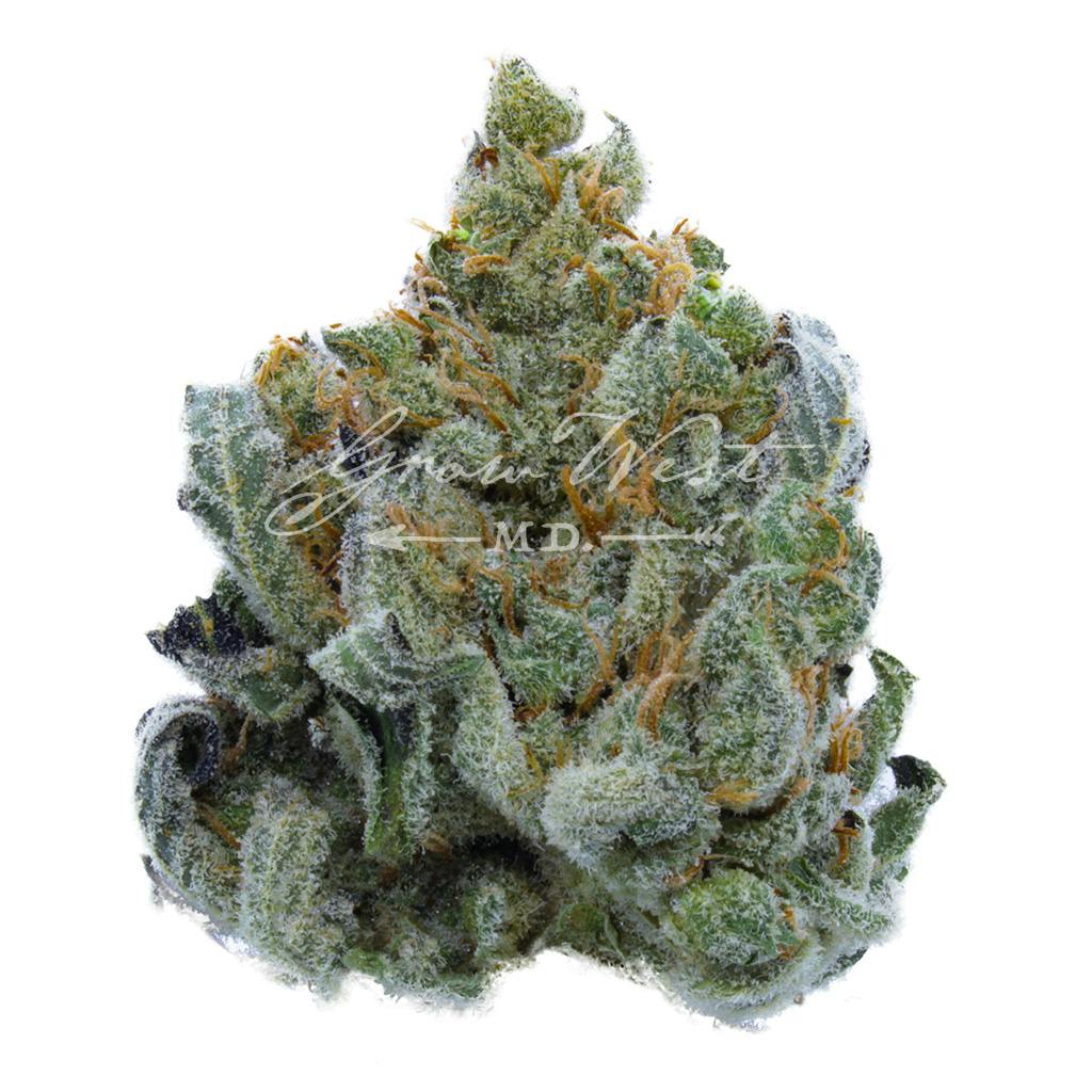 FPOG x Sour Dub | Silver | Untrimmed | 3.5g - image 1