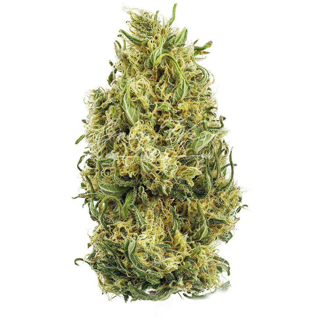 Lambsbread | Silver | Untrimmed | 3.5g - image 1