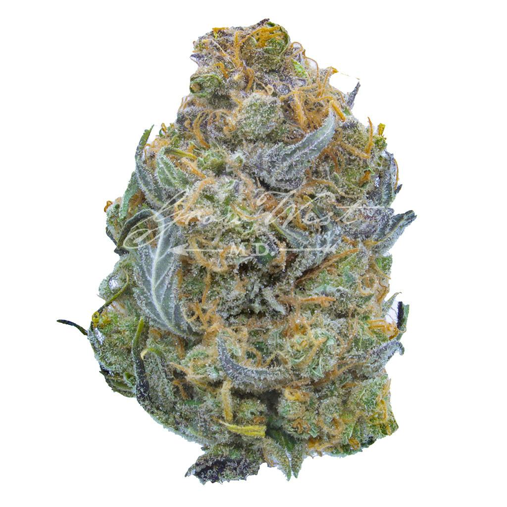 Nurse Jackie | Silver | Untrimmed | 3.5g - image 1