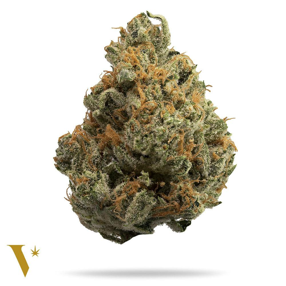 Ashy Larry #43 [14g] - image 1