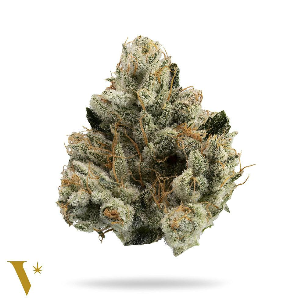 GG #4 [14g] - image 1