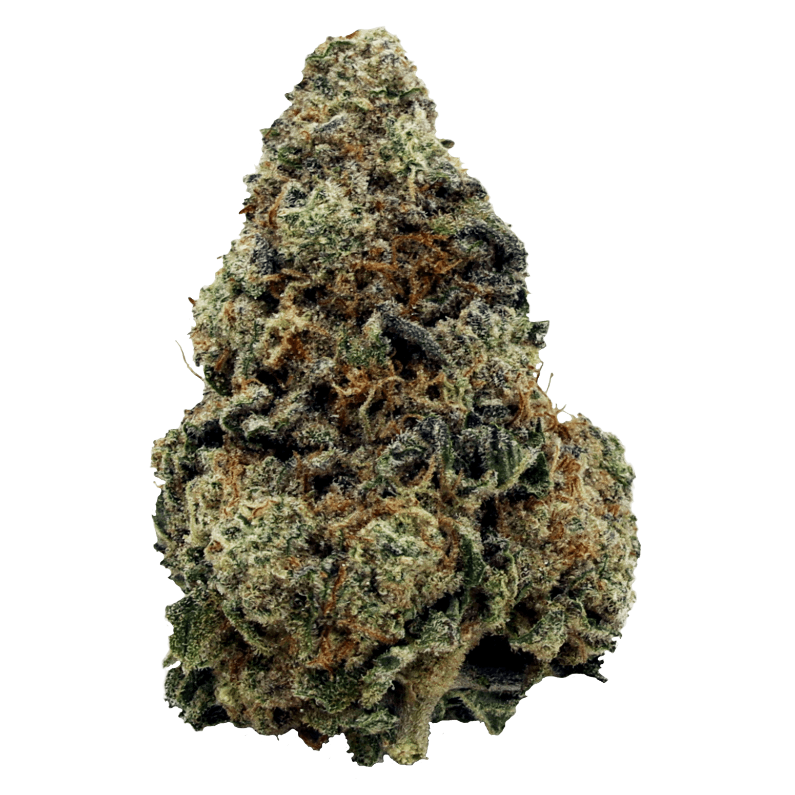 Bonfire Midnight Cookies - 3.5g Flower - Ontario - image 1
