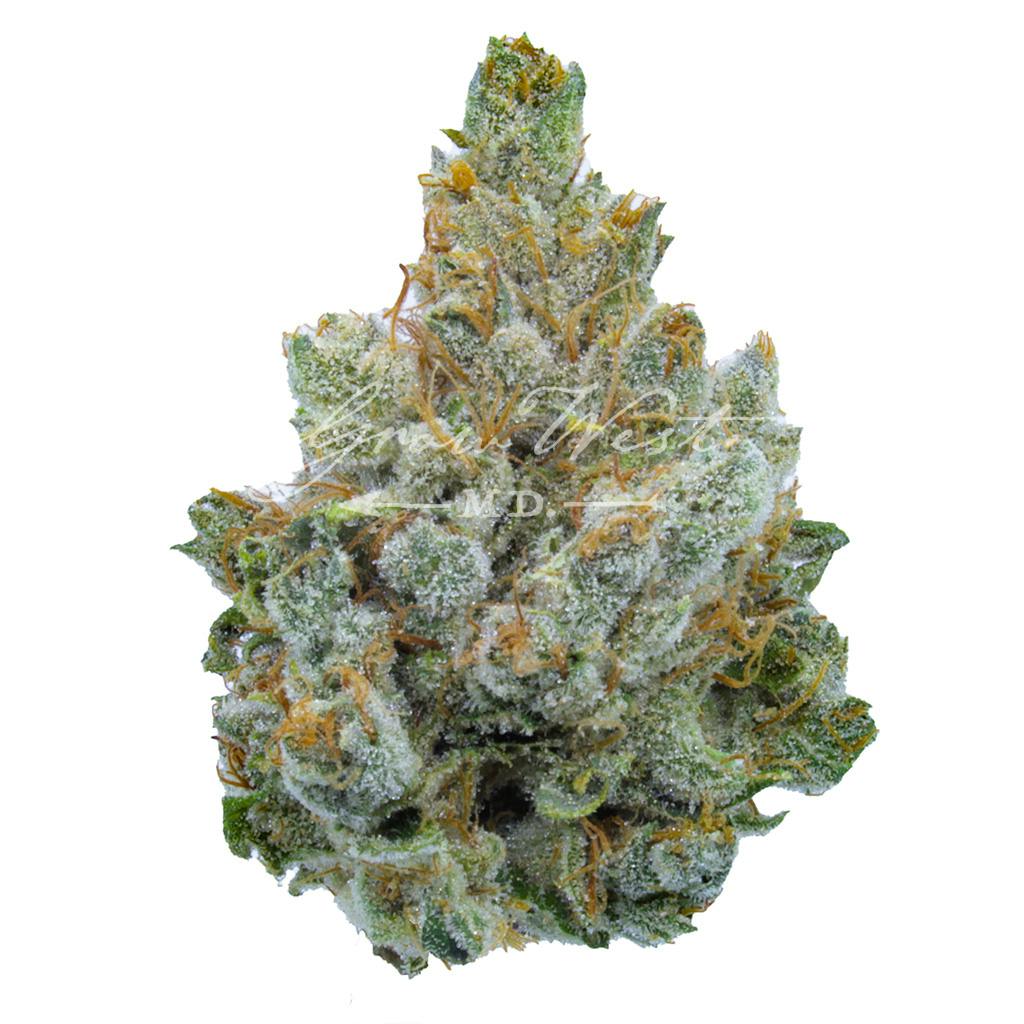 Miami Heat | Gold | Trimmed | 3.5g - image 1