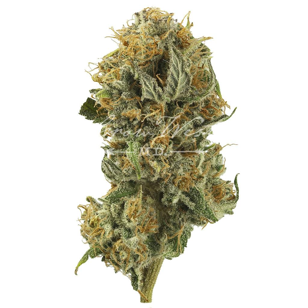 Mile High Volcano | Silver | Untrimmed | 3.5g - image 1