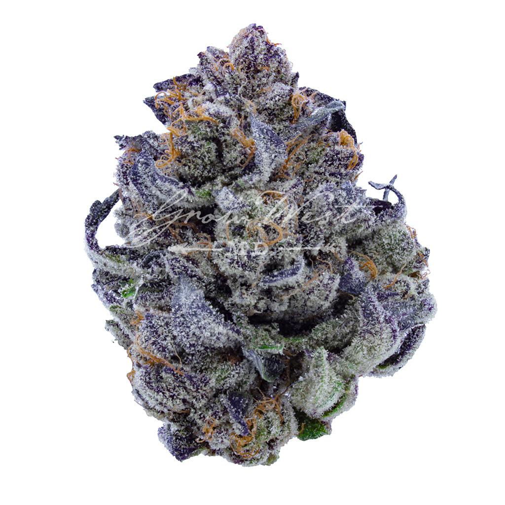 Pie Crust | Silver | Untrimmed | 3.5g - image 1
