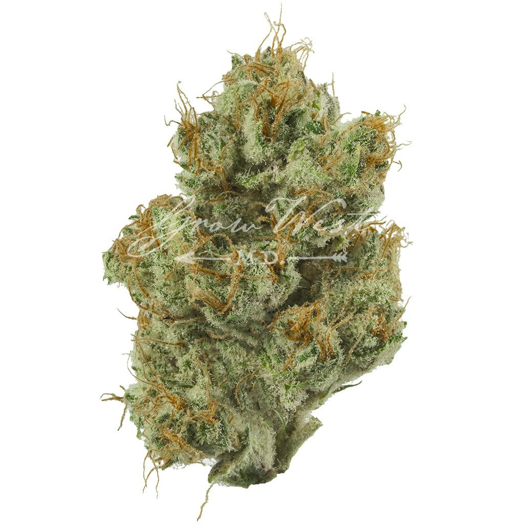 Shrieker | Gold | Trimmed | 3.5g - image 1