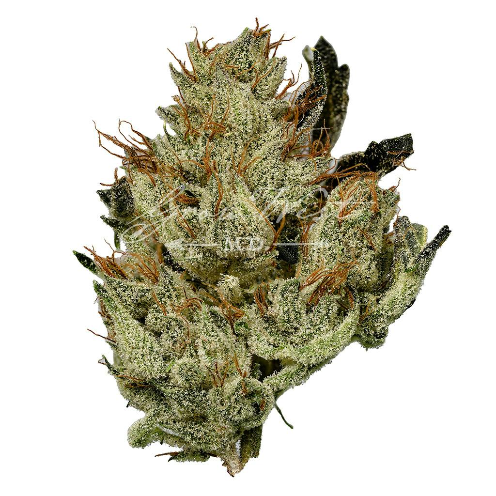 Chem 91 x Aliendawg Cherry | Silver | Untrimmed | 3.5g - image 1