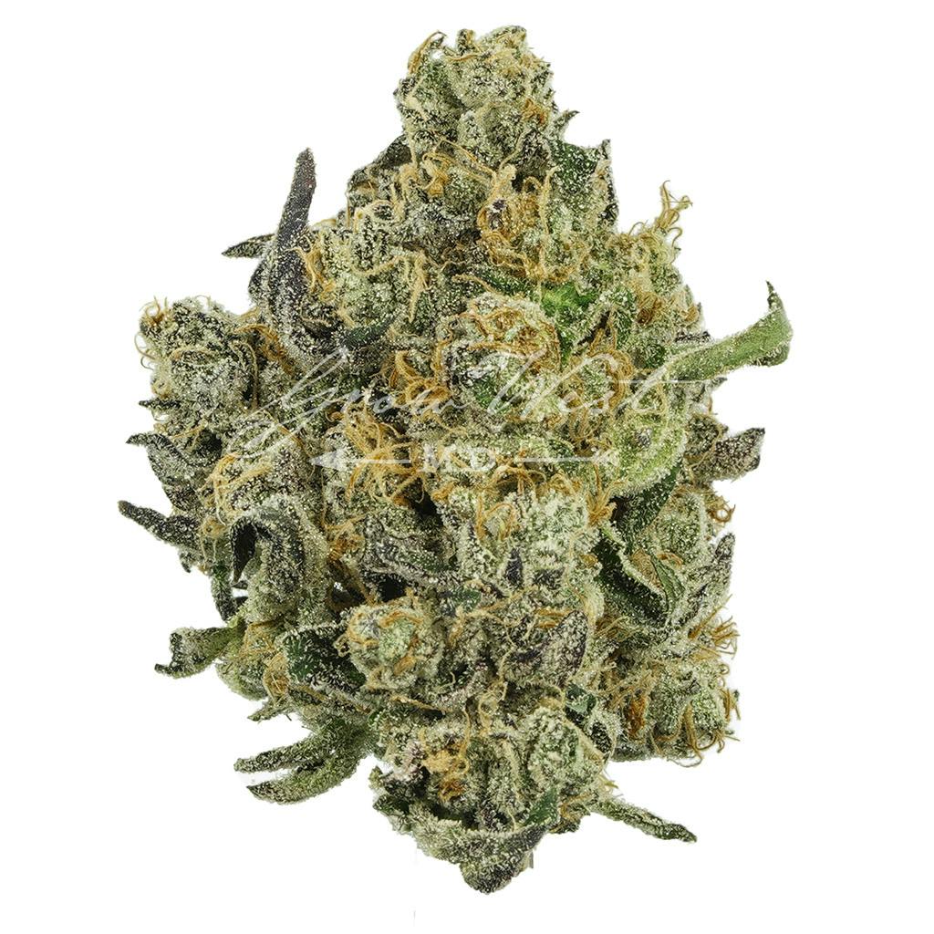 Electric Berry Bliss | Silver | Untrimmed | 3.5g - image 1