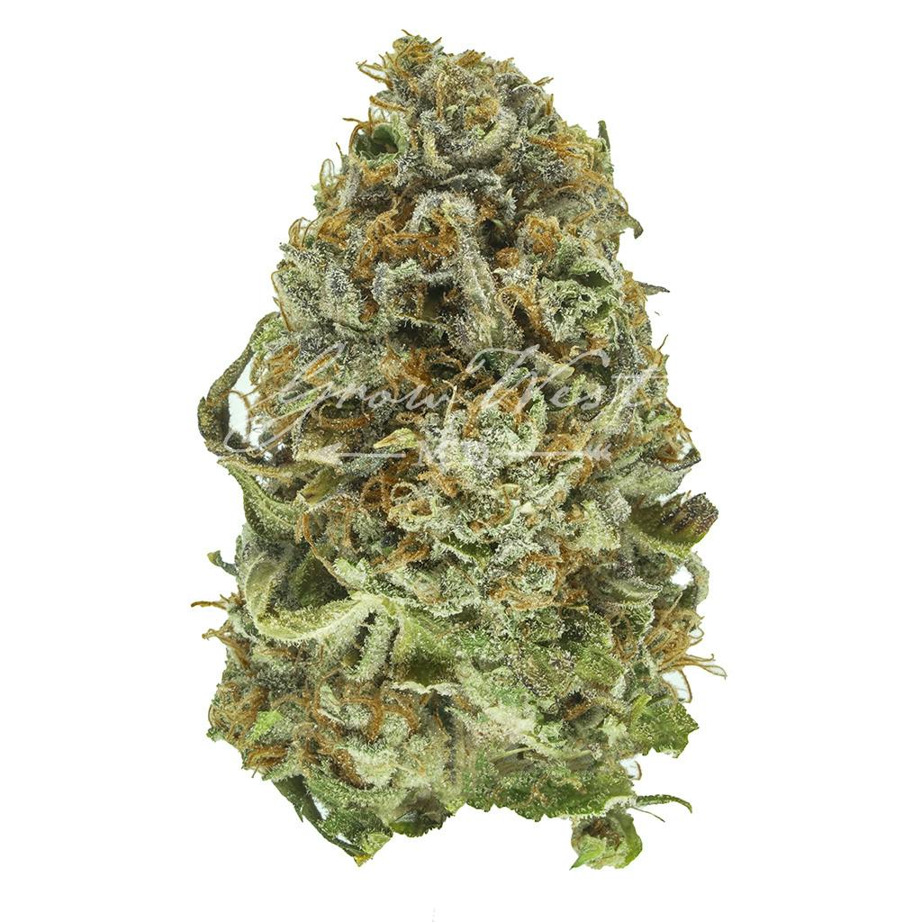 Flo Walker | Silver | Untrimmed | 3.5g - image 1