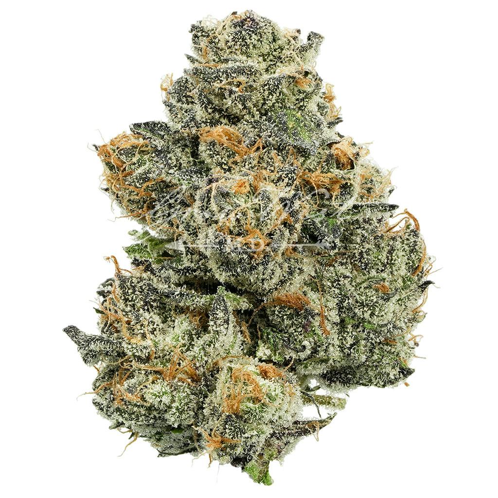 Houston, We Have A Problem | Premium | Hand-Trimmed | 3.5g - image 1