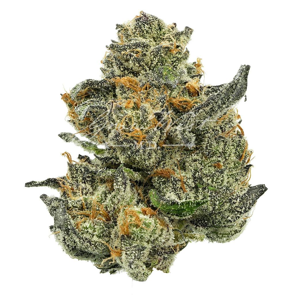 Houston, We Have A Problem | Silver | Untrimmed | 3.5g - image 1
