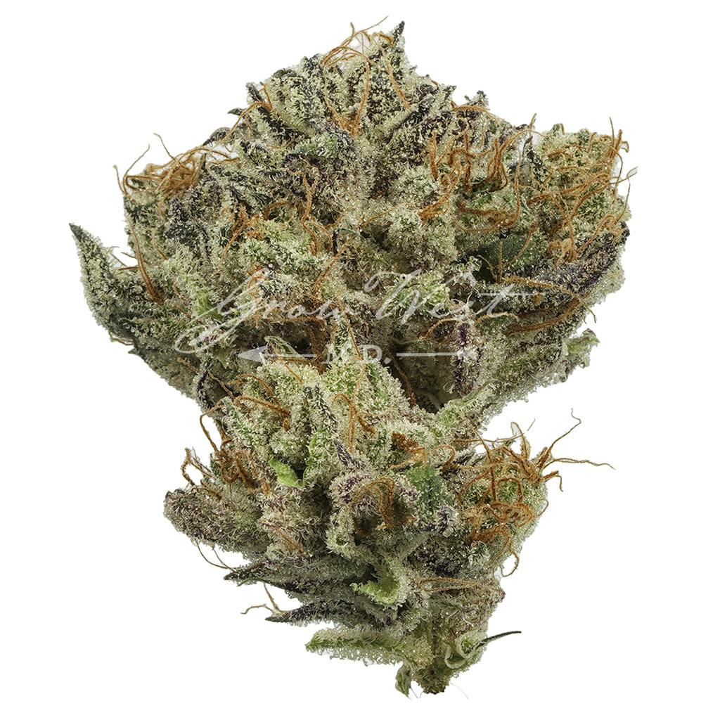 Sweet Cinnamon Octane | Gold | Trimmed | 3.5g - image 1