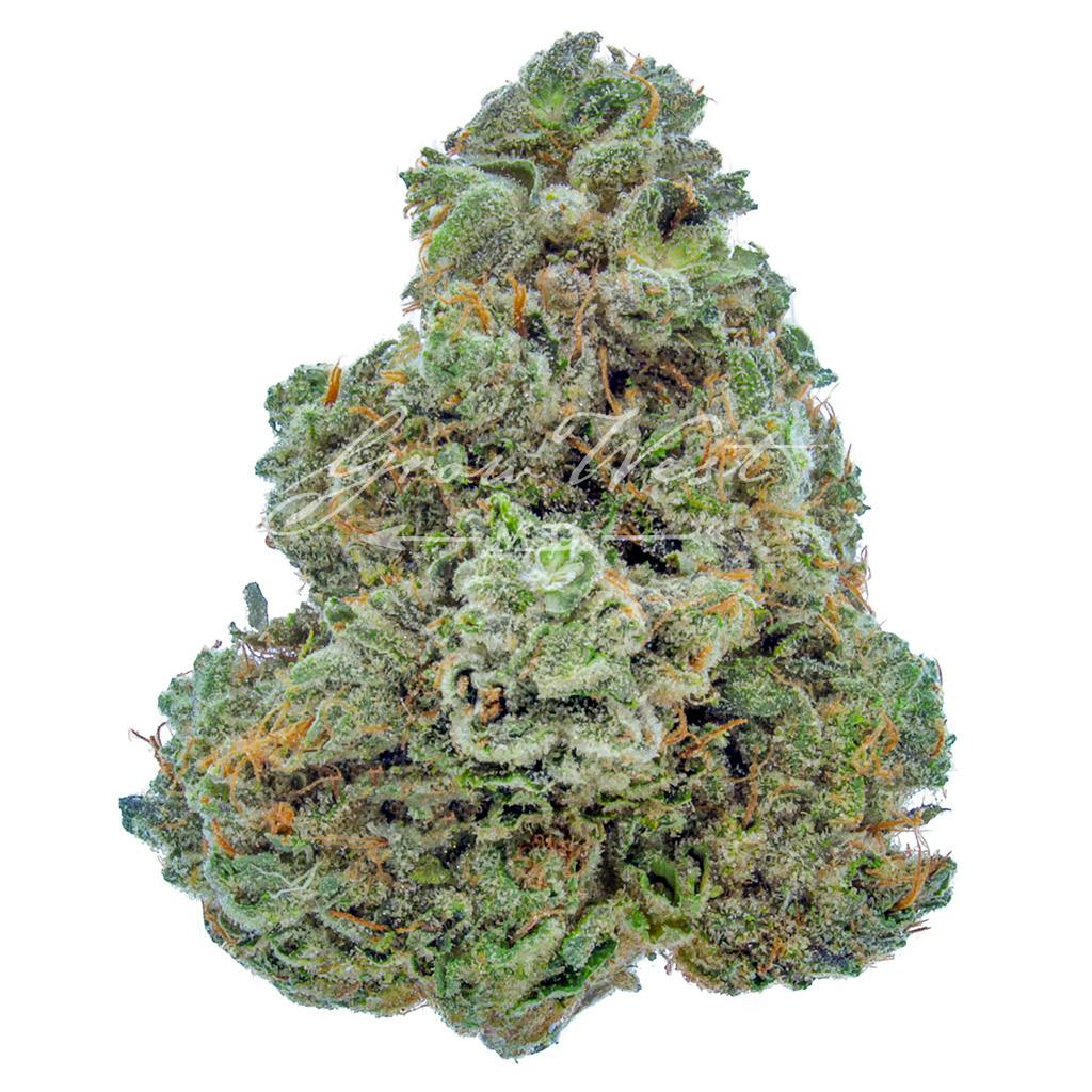 Triangle Kush | Gold | Trimmed | 3.5g - image 1