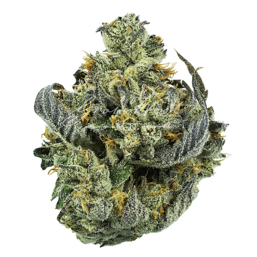 Cloudberry OG | Silver | Untrimmed | 3.5g - image 1