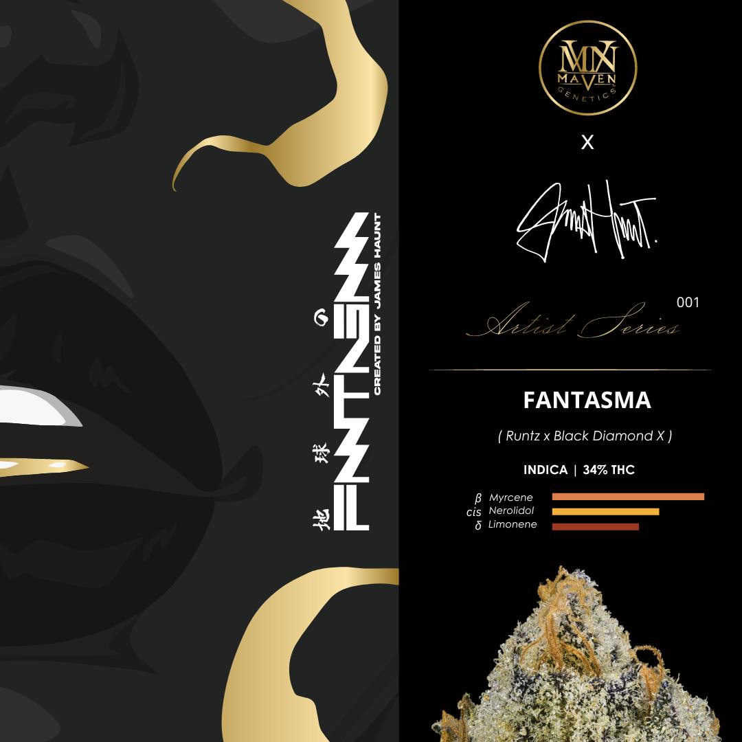 Fantasma by James Haunt Tee-Shirt - Maven Genetics Artist Series #001 - image 3