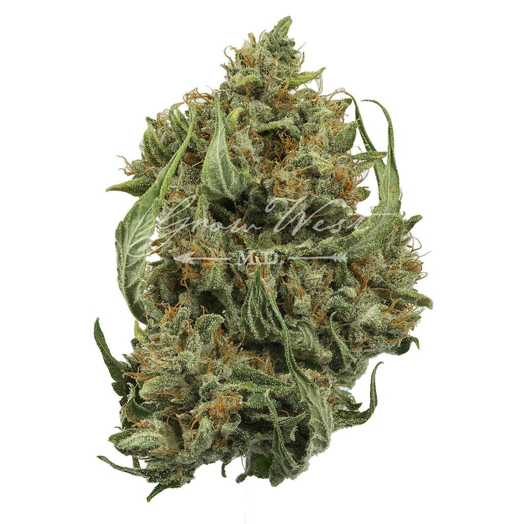 Cough OG | Silver | Untrimmed | 3.5g - image 1