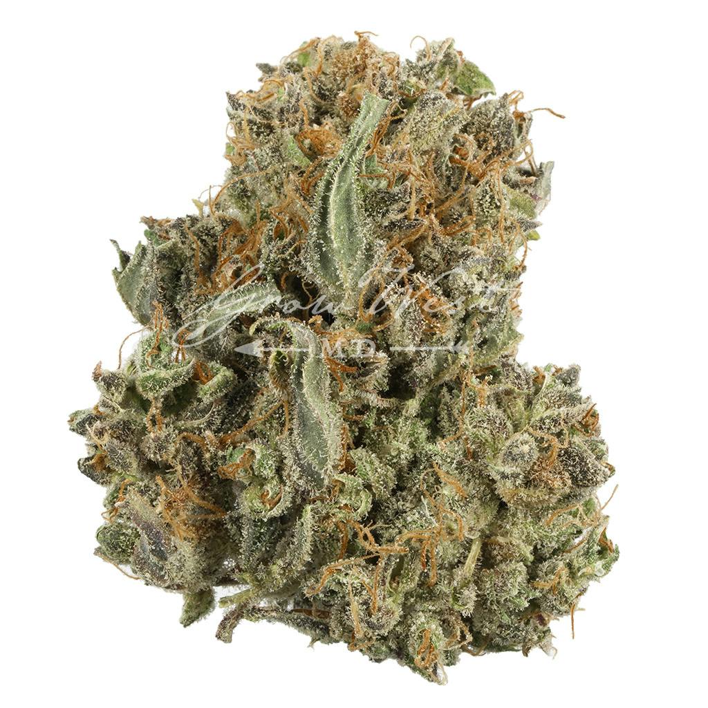 Chocolate Kush | Silver | Untrimmed | 3.5g - image 1