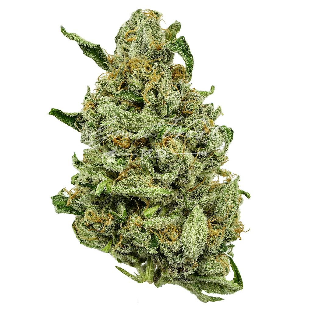 Gandhari Kush | Silver | Untrimmed | 3.5g - image 1