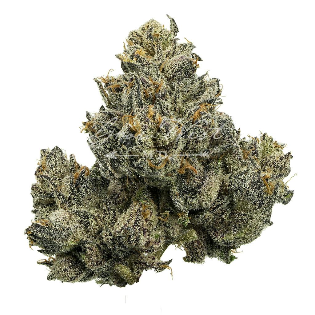 Majestik 12 |  Premium | Hand-Trimmed | 3.5g - image 1