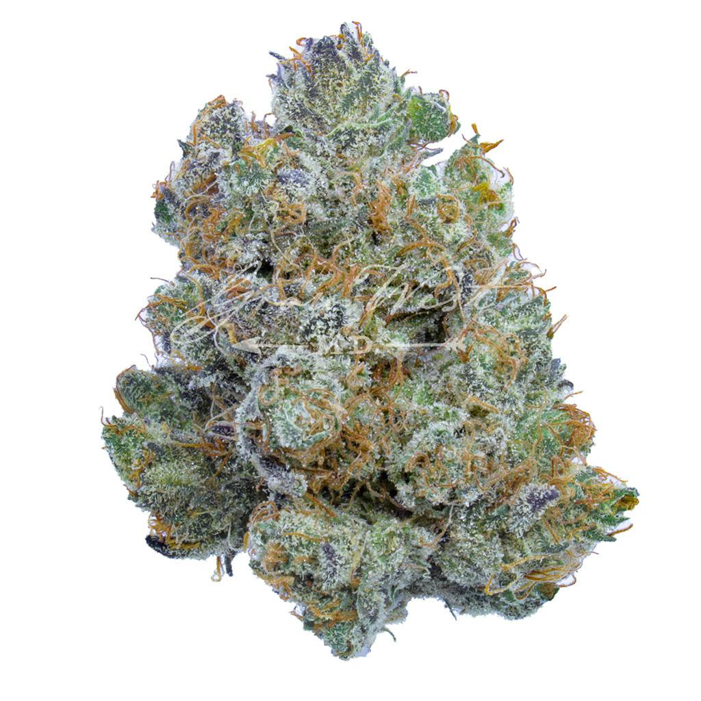 Mandarin Cookies | Gold | Trimmed | 3.5g - image 1