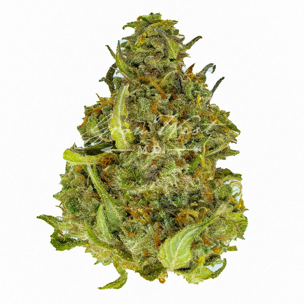Mother of Pearl | Silver | Untrimmed | 3.5g - image 1